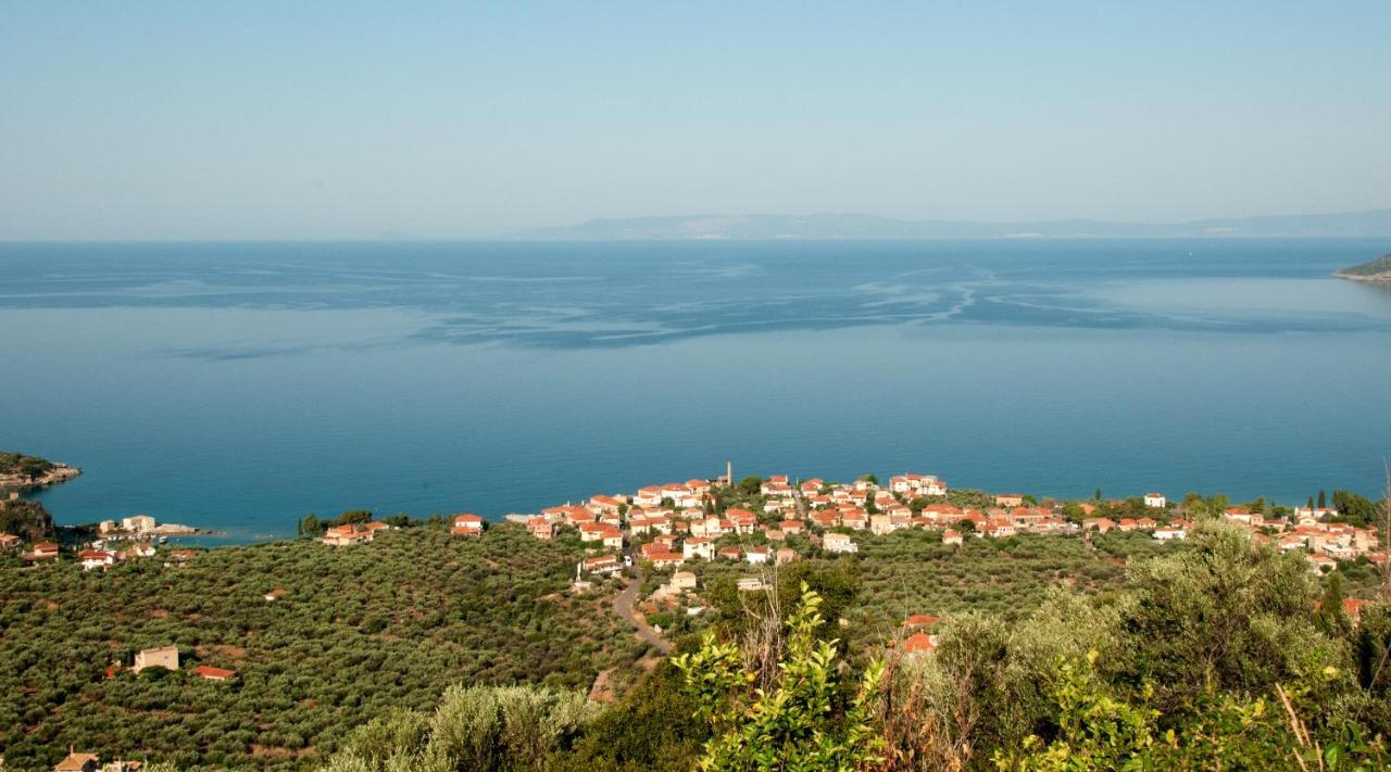 Pyrgos Fassea Kardamyli Villa Dış mekan fotoğraf